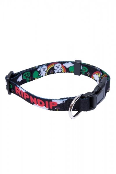 buddy belt collar