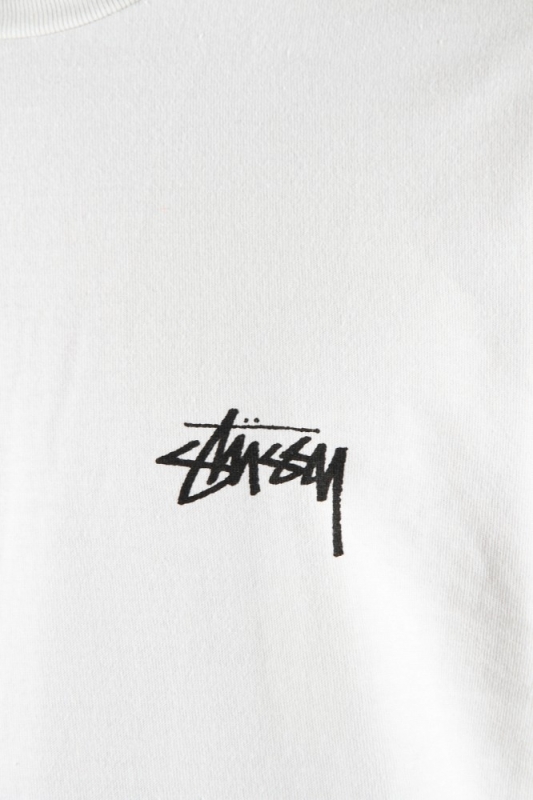★国内在庫/即発可*STUSSY*FIRE-ON-BABYLONロゴTシャツ/STONE★ ☆国内在庫/即発可*STUSSY*FIRE-ON-BABYLONロゴTシャツ/STONE